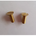 Slotted Countersunk Head Screw