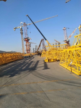 highly automatic tower crane
