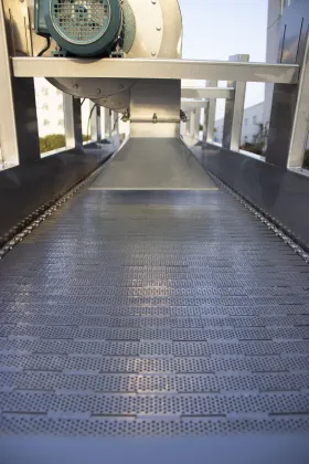 Vegetable and Fruit Cleaning Drying Machine