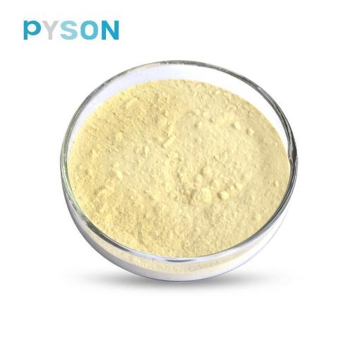 GMP factory supply ginseng root extract 80% ginsenosides
