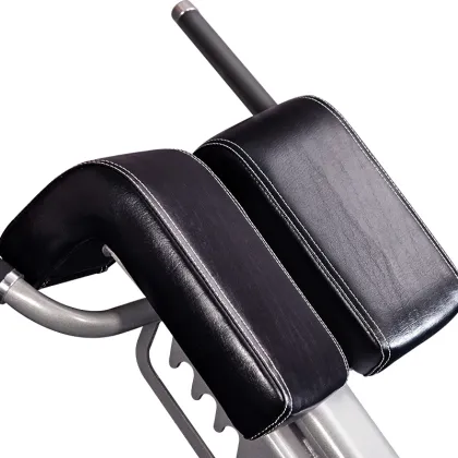 Home Exercise Equipment Back Extension Bench Roman Chair