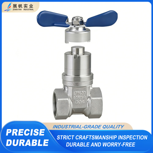 Hassas Kontrollü Paslanmaz Çelik Manyetik Stop Vanası