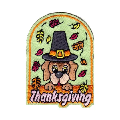 Thanksgiving Harvest Pumpkins Gourds Leaves Patch