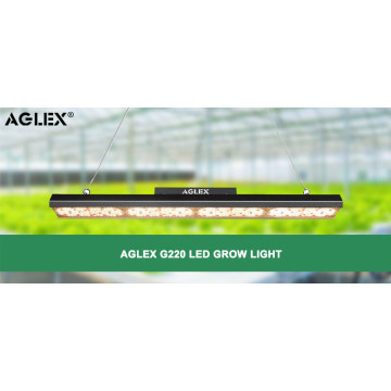 Gute Ernte mit hohem PPFD-Streifen LED-Wachstumslicht