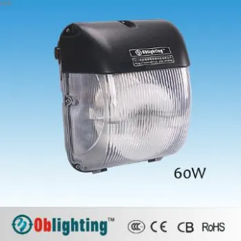 PC Cover Electrodeless Induction Wall Light