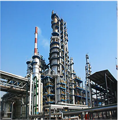 100% Pure Organic Rose Essential oil for Skin