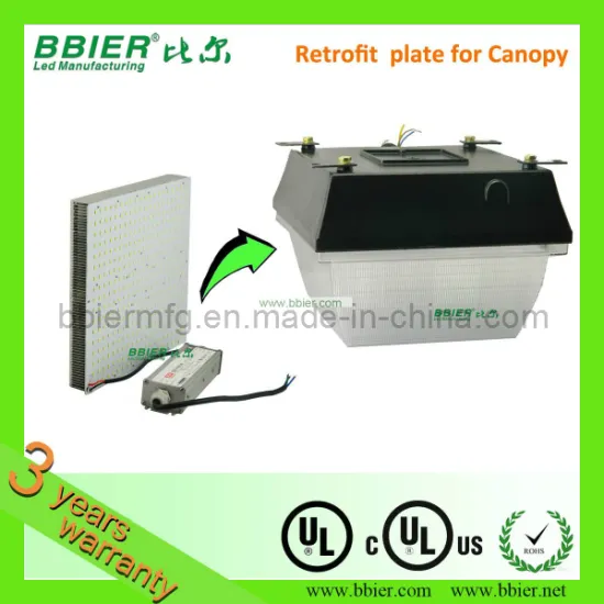 100W LED Canopy Fixture