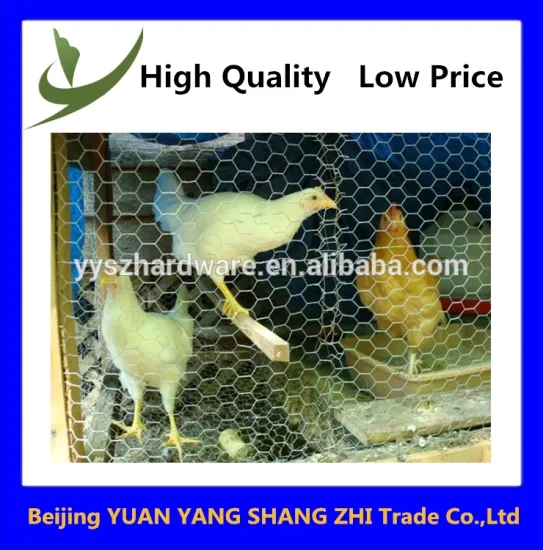 High quality chicken coop hexagonal wire mesh