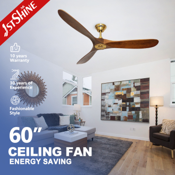Fan de plafond 1sthine: ventilateur de plafond décoratif sans lumière pour l'hiver