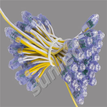 Sunled colorido RGB Light String - SMD de alta calidad SMD 5630 LED Pixel Light DC 5V