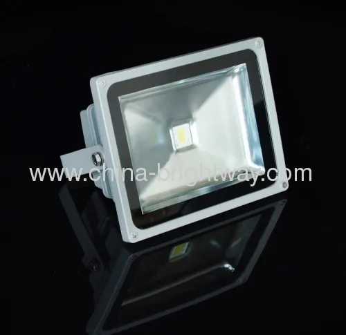 20w Cob Led Floodlight Bridgelux(45mil) 