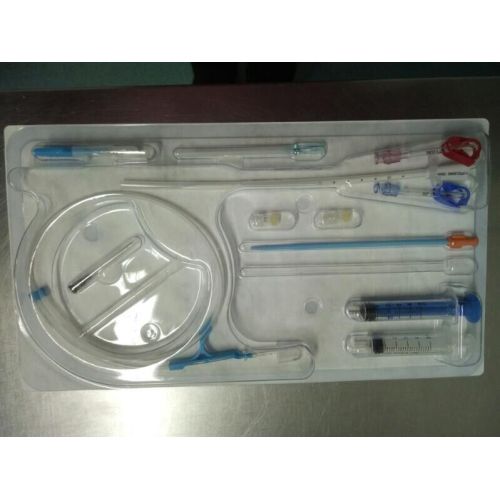 Disposable double lumen hemodialysis catheter kit
