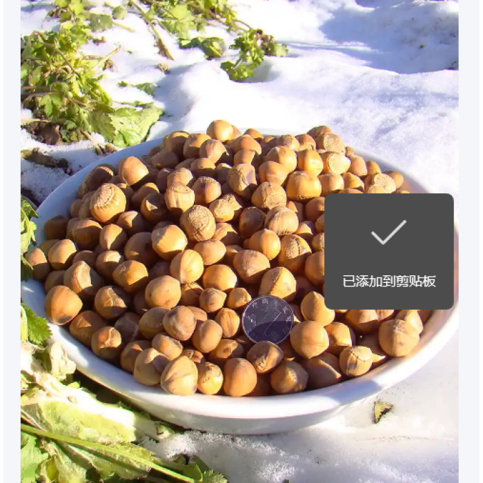 450g de deliciosas avelãs leopardo