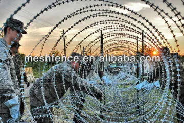 hot sales galvanized concertina wire