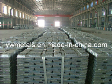 High Quality Lowest Price Hot Salemagnesium Ingot99.90%_ 99.98%