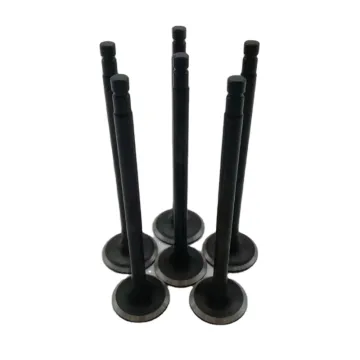 YD25 Auto Parts: 13201-ad200, 13201-ad210, 13201-ad21a Intake Valve, 13202-ad20a Exhaust Valve