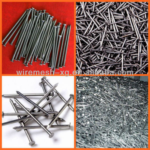 common nails(professional manufacturer,best price and good quality)