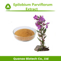 Muestra gratis Epilobium Parviflorum Extract Powder 10: 1