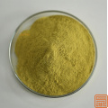Extracto de Sophora japonica rutin nf11 95% en polvo