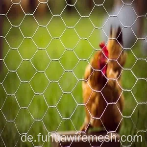 Home Garden Chicken Hexagonal Drahtnetznetzzaun