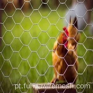 Home Garden Chicken Hexagonal Wire Malha de rede