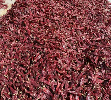 New Harvest Crop Dry Whole Sweet Paprika