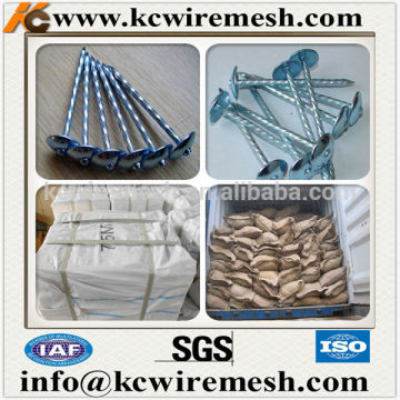KANGCHEN 50kg jute bag packed roofing nails with twisted shank.