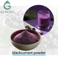 Порошок сухофруктов черной смородины, богатый антоцианами