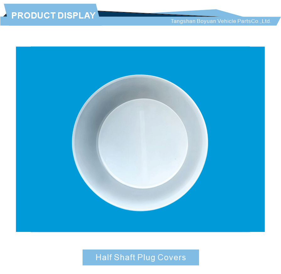 Outdoor Use Plastic Shaft Blanking Cap