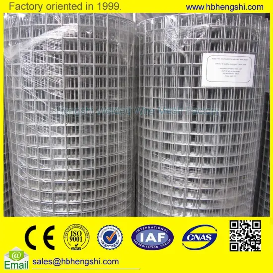 Professional 3/4"inch galvanized welded wire mesh for wholesales