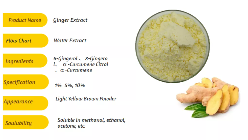 Ginger Extract 1