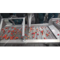 Strawberry Washing and Drying Line