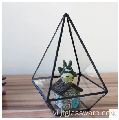 Bán buôn Bình thủy tinh Martini Thủy tinh thổi thủ công Terrarium