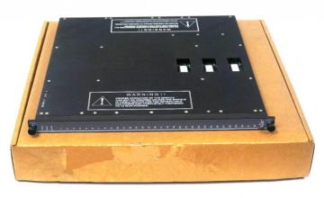 Triconex 4000029-025