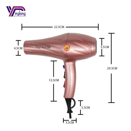 Professional Hair Dryer Set with Salon Brush, Hot and Cold Stand, and Tools