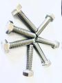 Metric SS304 Hex Head Bolt