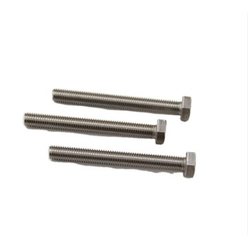 OEM Fastener Stainless Steel Nickel Polishing