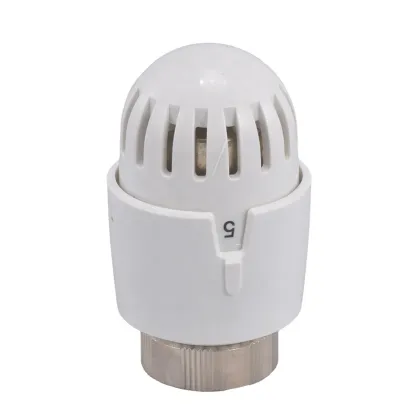 Avonflow Plastic TRV Head Thermostatic Radiator Valve Head" could be shortened to:

"Avonflow Plastic Thermostatic Radiator Valve Head" 

However, for a search engine title, it might be more effective to prioritize keywords:

"Thermostatic Radiator Valve 