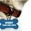 Stylish Pet ID Tag