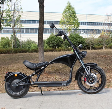 Hulajcory elektryczne Eurehouse Eurehouse Fat - od 60 V do 3000 W CityCoco Chopper