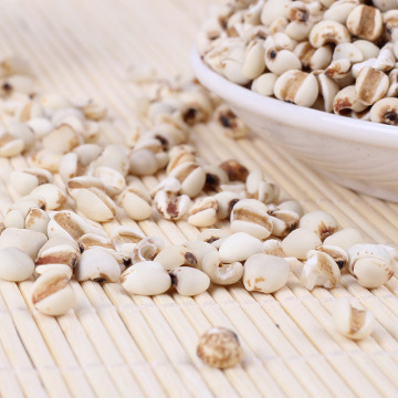 Semen Coicis Extract Powder Coix Seed Extract Powder with ISO Certificate