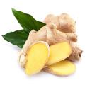 Ginger Root Extract Gingerols 5% HPLC