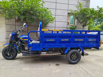 Sturdy Three Wheel Transport for Daily Needs