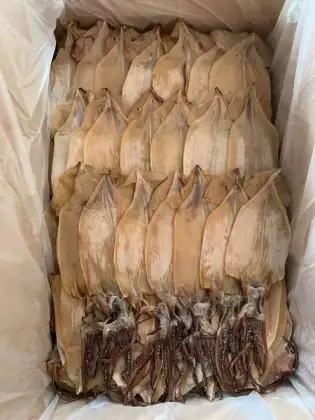 Title: **Dried Indian Ocean Squid**