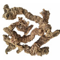 Valeriana officinalis L. Valerian Root Valerian Extract