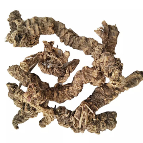 Valeriana Officinalis L. Valerian Root Valerian Extract