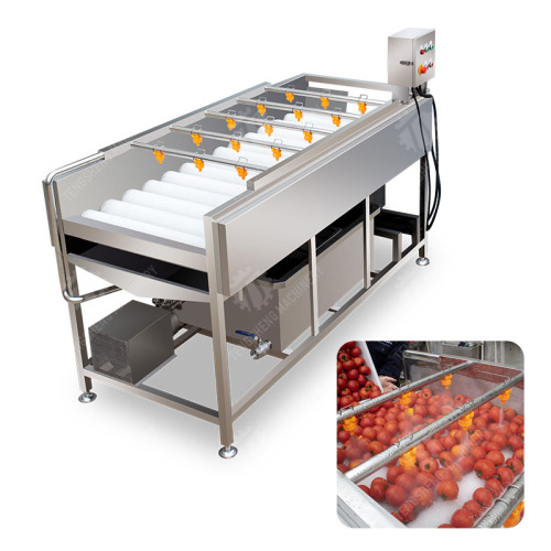 Máquina de lavar industrial de frutas e tomates