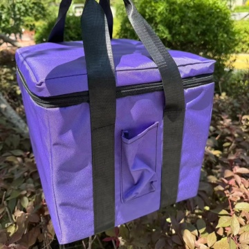 Convenient Carrying Case for Quartz Crystal Singing Pyramids/Merkabas