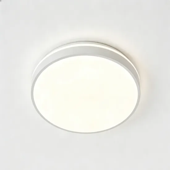 Bright home LED ceiling lamp