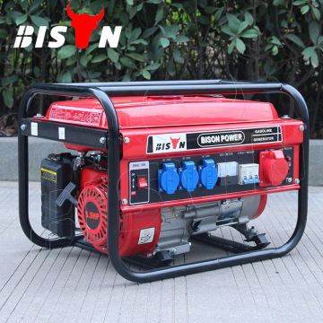 Bison Swiss Kraft SK 8500W Profesional Genoline Generator
